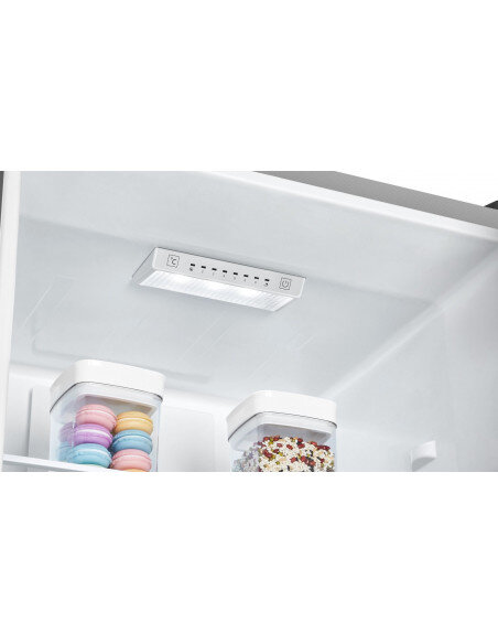 Šaldytuvas Hisense RB372N4AC2