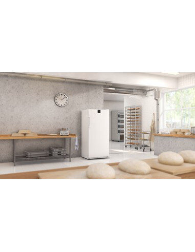 Šaldytuvas kepykloms Liebherr BRFvg...