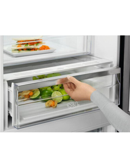 201 cm aukščio balto stiklo durimis No Frost šaldytuvas su šaldikliu Electrolux LNT7ME36G2