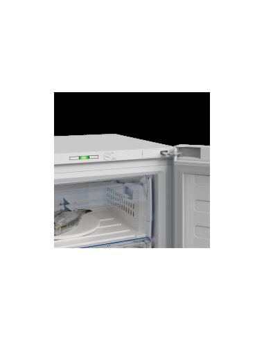 Šaldiklis BEKO RFSA240M41WN