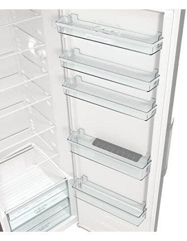 Šaldytuvas GORENJE R619EES5