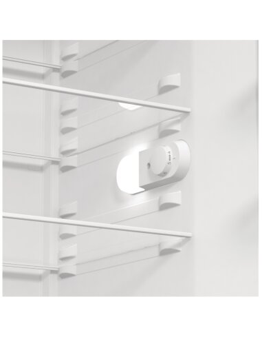 Šaldytuvas GORENJE R619EES5