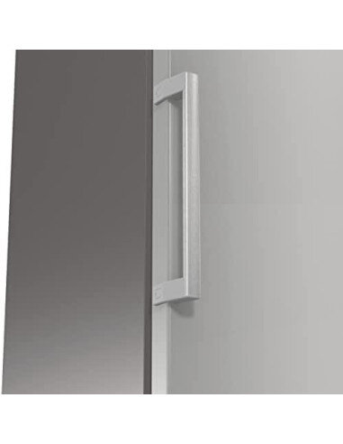 Šaldytuvas GORENJE R619EES5