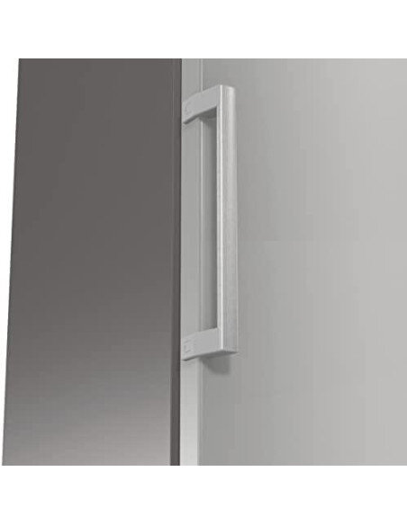 Šaldytuvas GORENJE R619EES5
