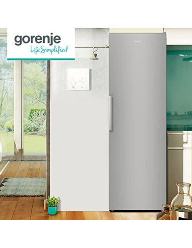 Šaldytuvas GORENJE R619EES5