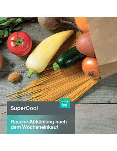 Šaldytuvas GORENJE R619EES5