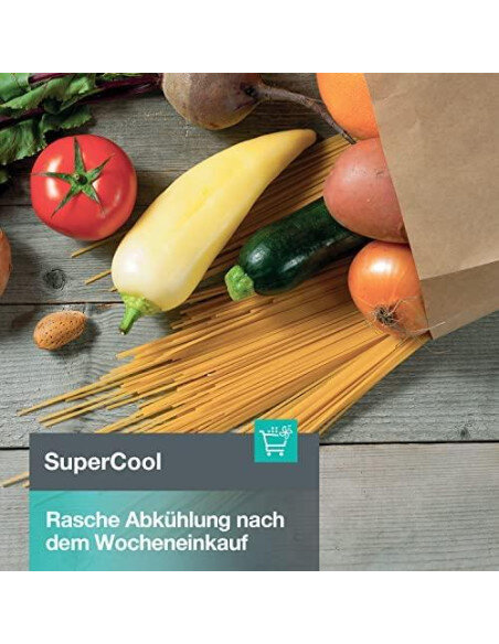 Šaldytuvas GORENJE R619EES5