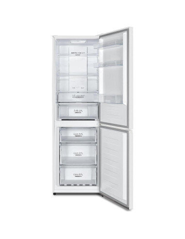 Šaldytuvas Gorenje N619EAW4