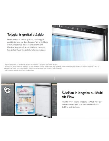 Šaldytuvas LG GBV5140CPY