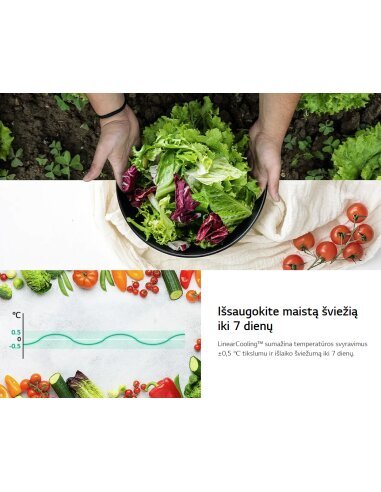 Šaldytuvas LG GBV5140CPY