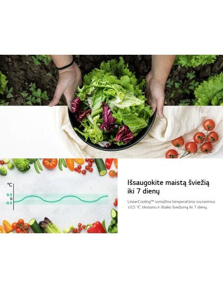 Šaldytuvas LG GBV5140CPY