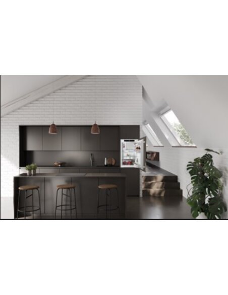 Įmontuojamas šaldytuvas Liebherr IRSe 3901