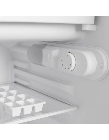 Šaldytuvas su šaldikliu viduje...