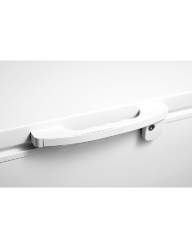 Šaldymo dėžė Standart FFC250EW, 246 L