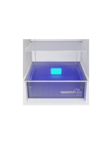 Šaldytuvas BEKO B5RCNA405HG