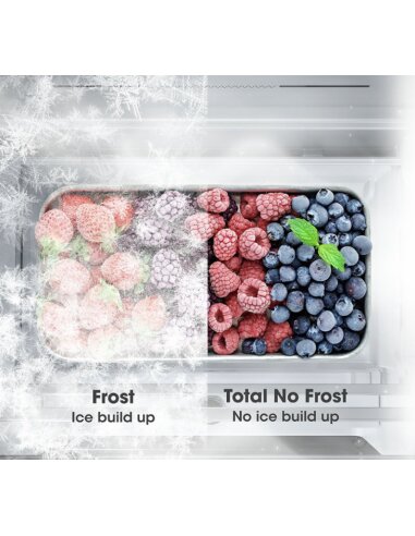 Šaldytuvas Hisense RB395N4BCE