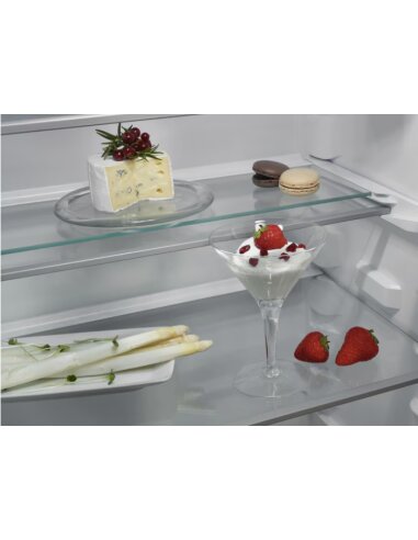 Įmontuojamas šaldytuvas AEG NSC7P751ES