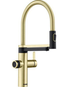 EVOL-S PRO FILTER Satin gold HD