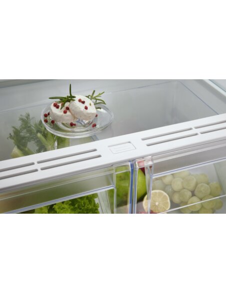 Šaldytuvas AEG OSC5D181ES