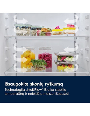 Šaldytuvas ELECTROLUX E6MNCE19S