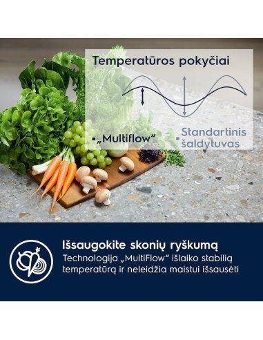 Šaldytuvas ELECTROLUX E6MNCE19S