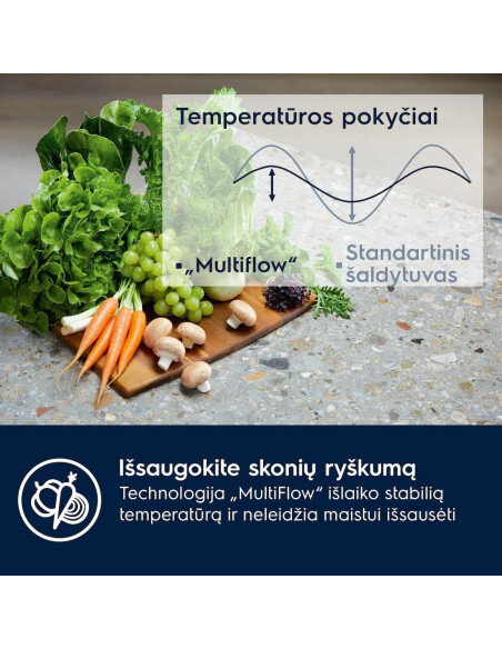 Šaldytuvas ELECTROLUX E6MNCE19S