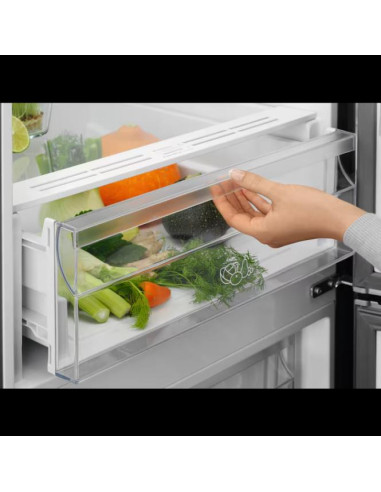 201 cm aukščio ner plieno spalvos No Frost šaldytuvas su šaldikliu Electrolux LNT5ME36U1