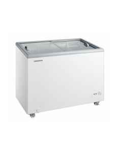 Šaldiklis vitrina tipo HSF-M255WHC HEINNER